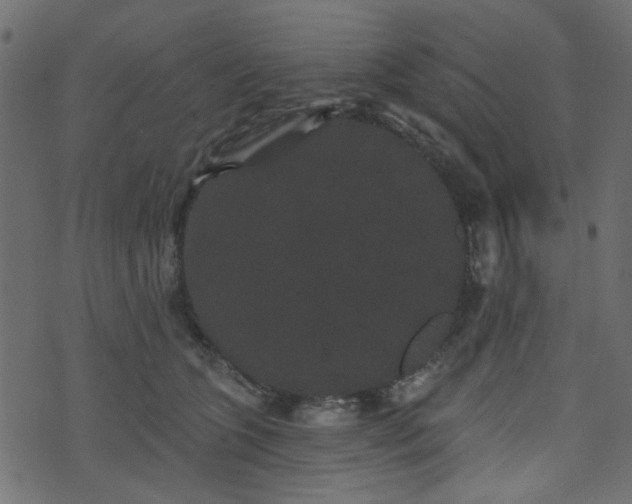 X0000070860563200606231256