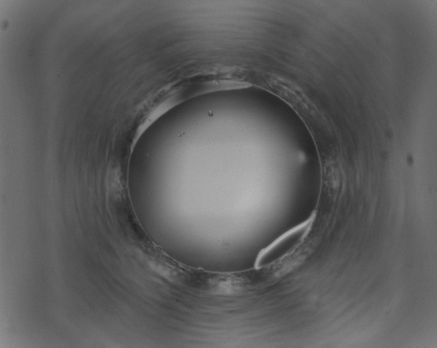 X0000070860564200606231256