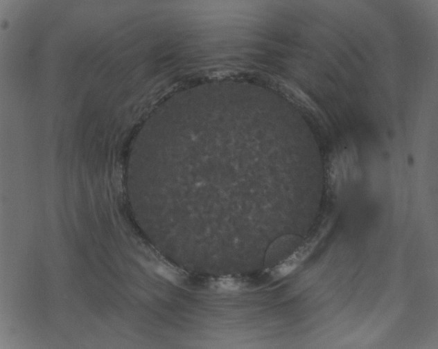 X0000070860565200606231256