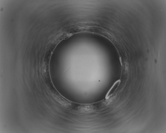 X0000070860567200606231256