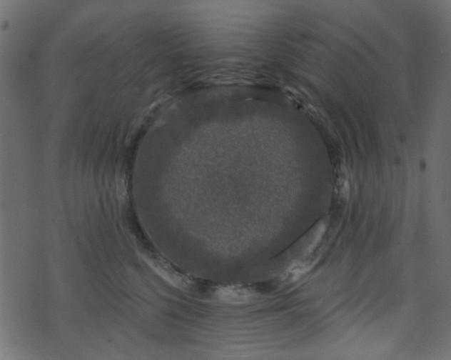 X0000070860568200606231256