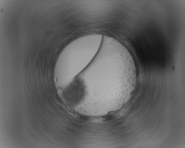 X0000070860569200606231256