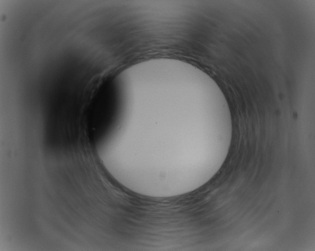 X0000070860570200606231256