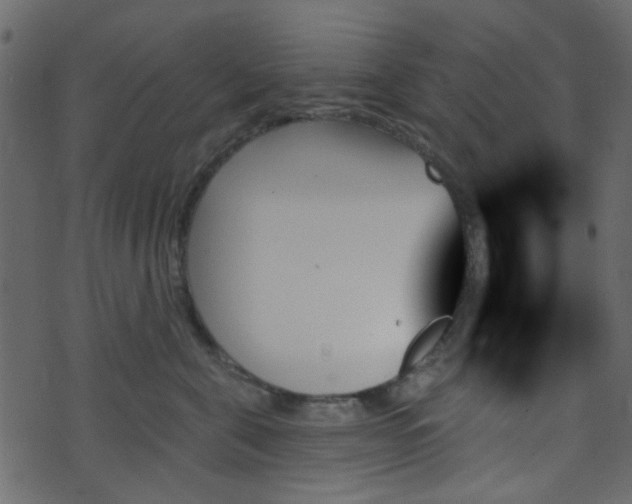 X0000070860571200606231256