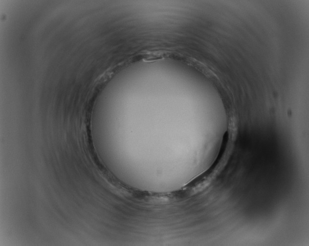 X0000070860572200606231256