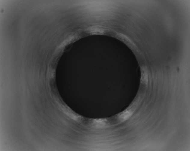 X0000070860573200606231256