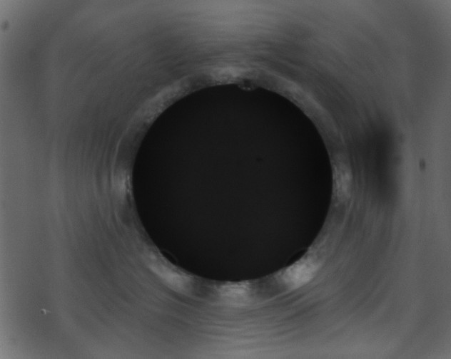 X0000070860574200606231256