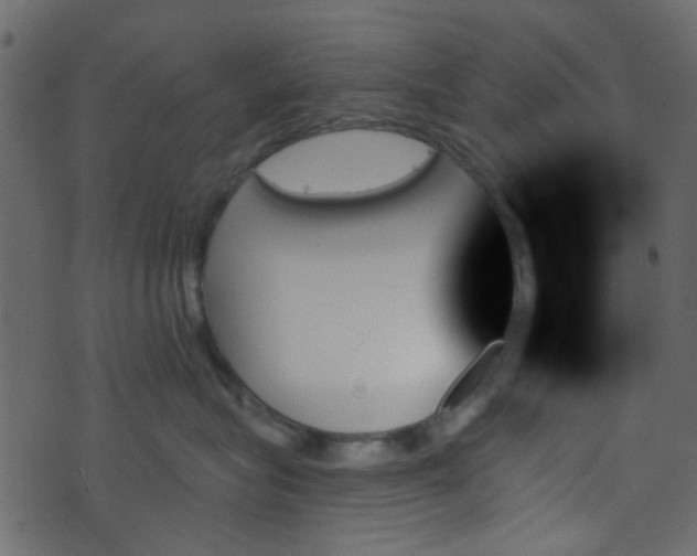 X0000070860575200606231256