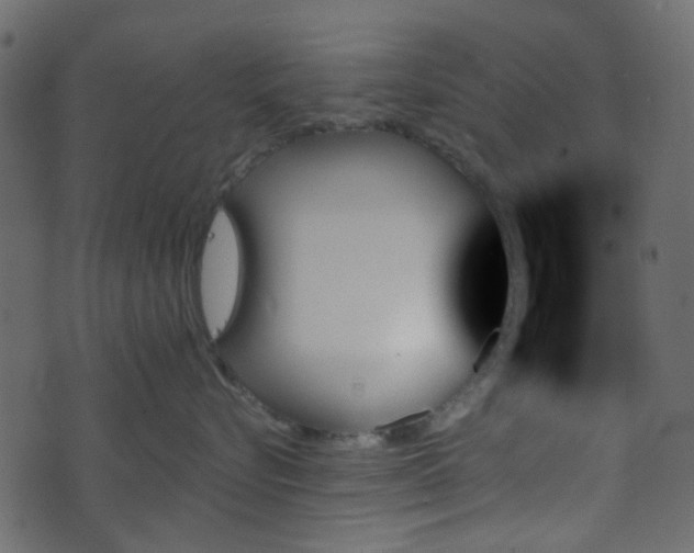 X0000070860576200606231256