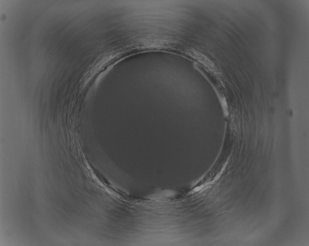 X0000070860577200606231255