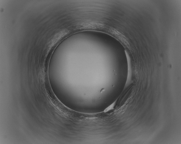 X0000070860578200606231255