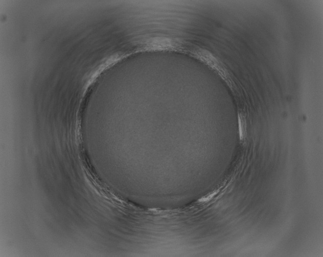 X0000070860579200606231255