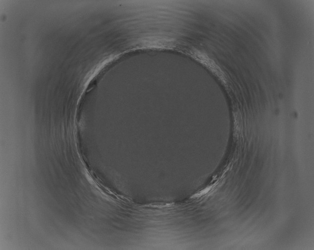 X0000070860580200606231255