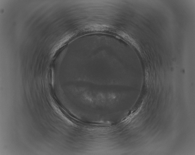 X0000070860581200606231255