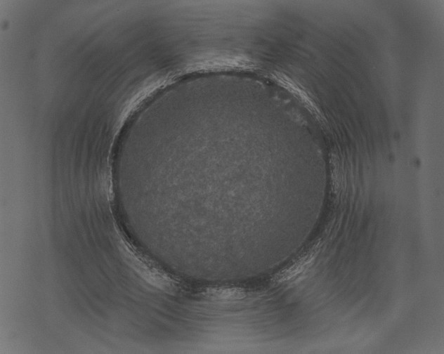 X0000070860582200606231255