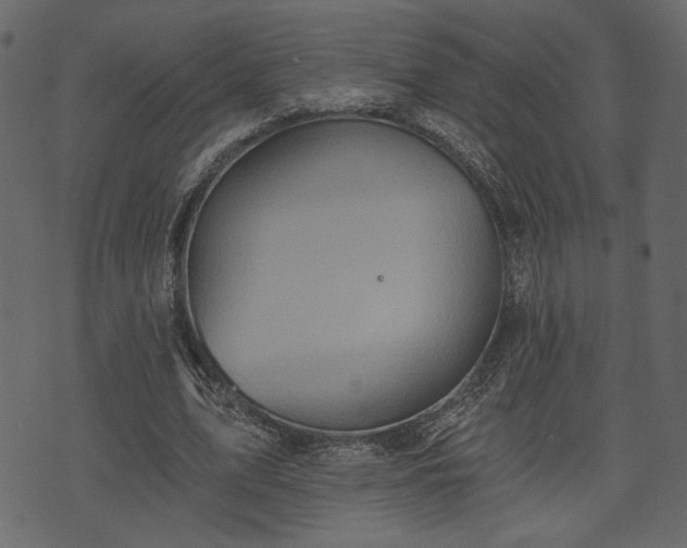 X0000070860583200606231255