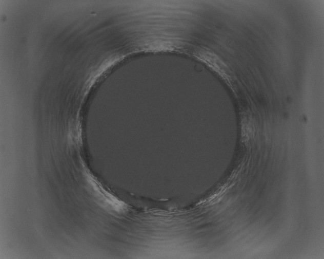 X0000070860584200606231255