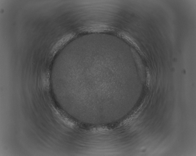 X0000070860586200606231255