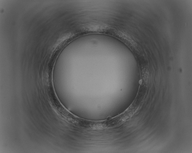 X0000070860587200606231255