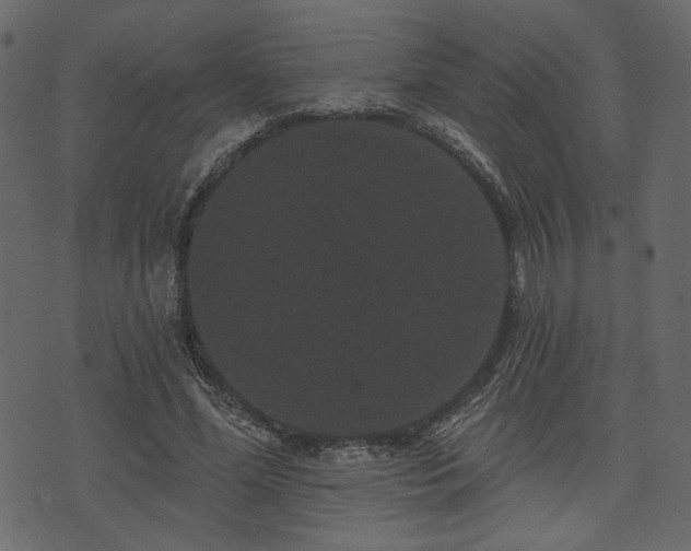 X0000070860588200606231255