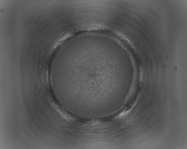 X0000070860589200606231255