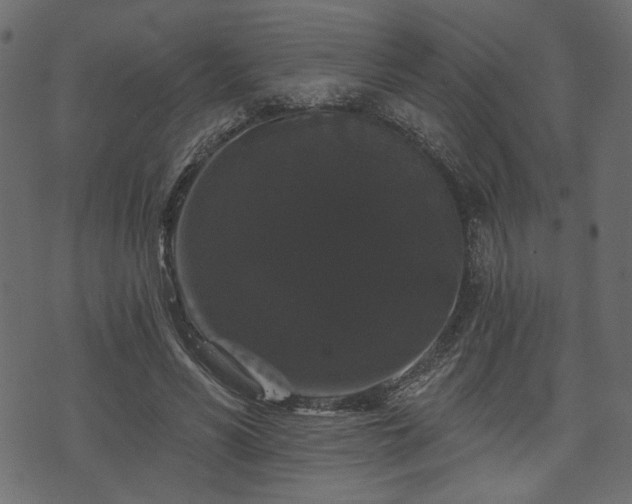 X0000070860590200606231255