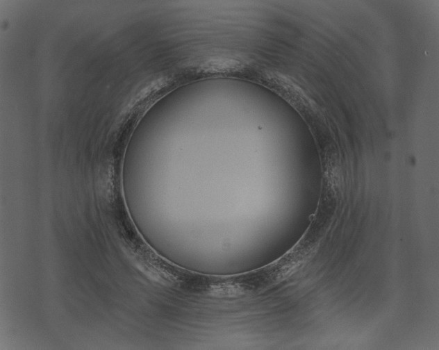 X0000070860591200606231255