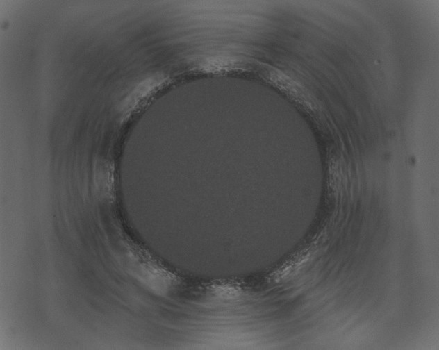 X0000070860592200606231255