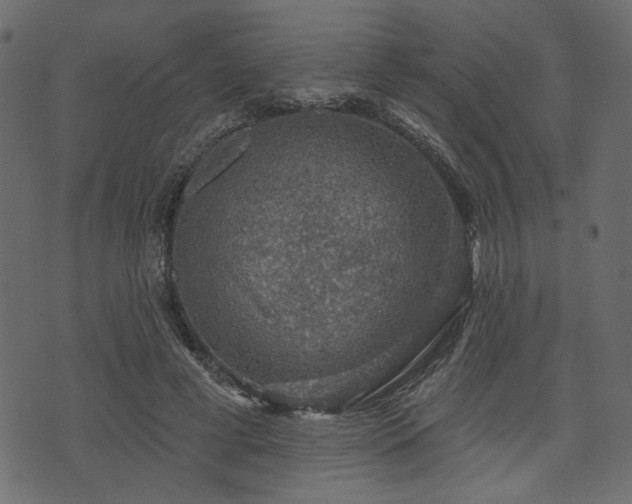 X0000070860593200606231255