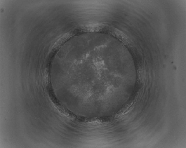 X0000070860594200606231255