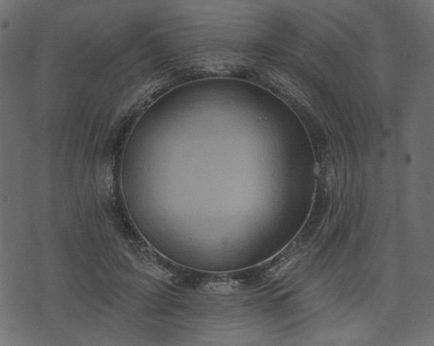 X0000070860595200606231255