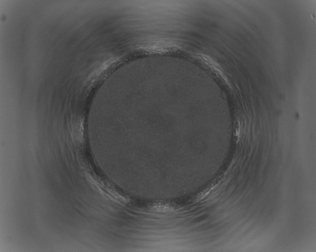 X0000070860596200606231255