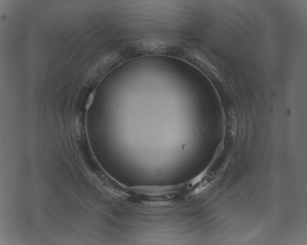 X0000070860597200606231255