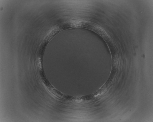 X0000070860598200606231255