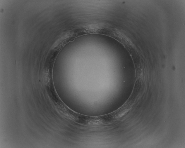 X0000070860599200606231255