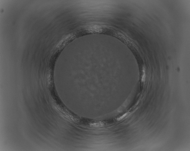 X0000070860600200606231255