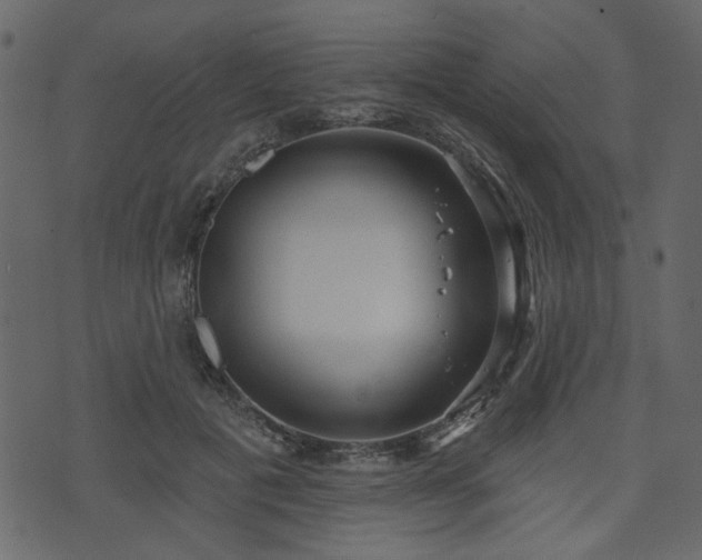 X0000070860601200606231255