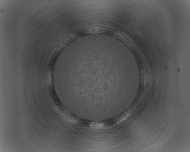 X0000070860602200606231255