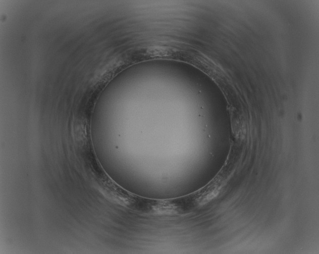 X0000070860603200606231255