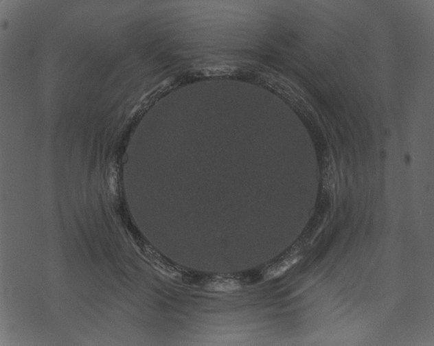 X0000070860604200606231255