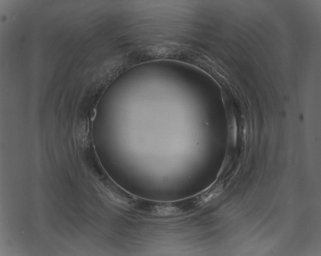 X0000070860605200606231255