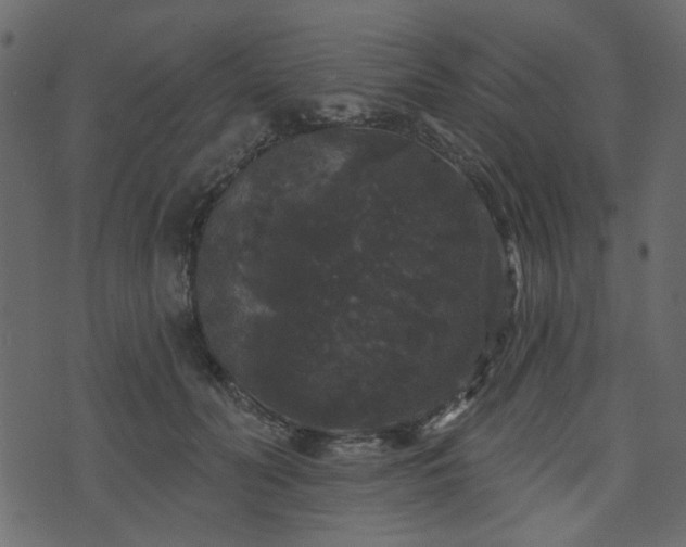 X0000070860606200606231254