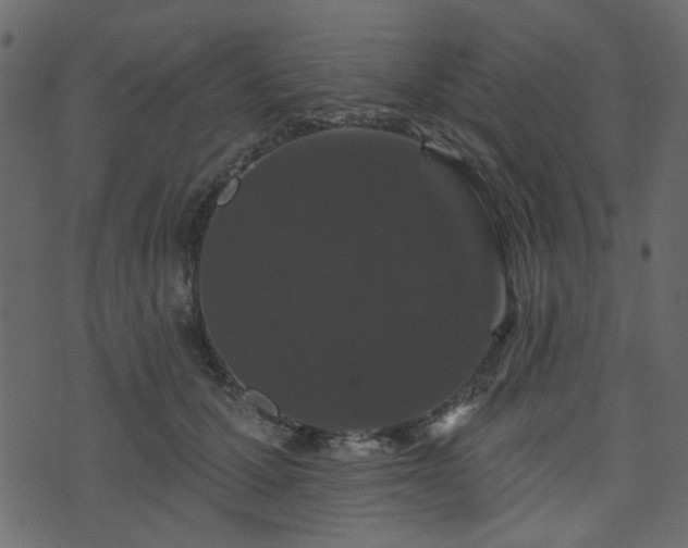 X0000070860607200606231254