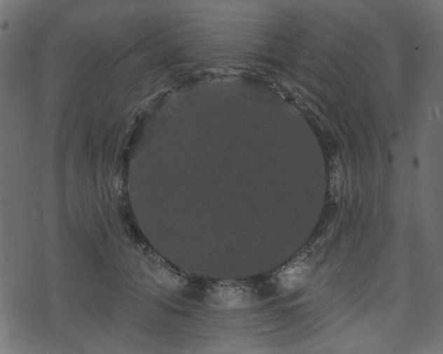 X0000070860608200606231254