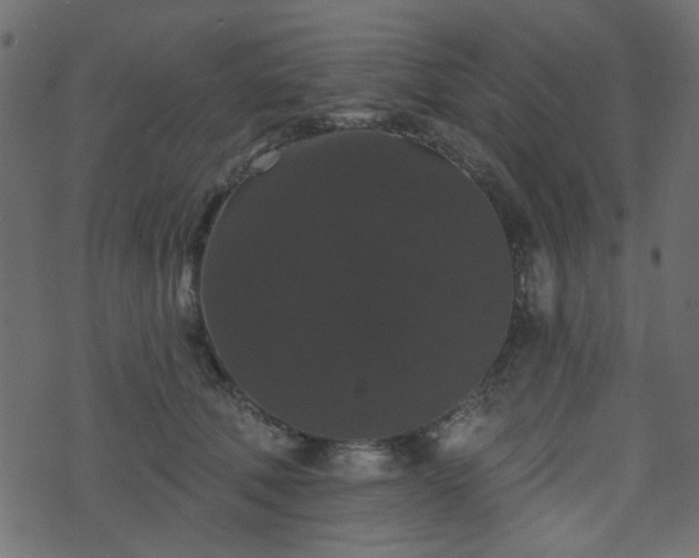 X0000070860610200606231254