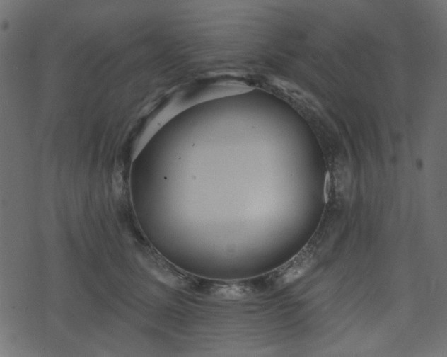 X0000070860611200606231254