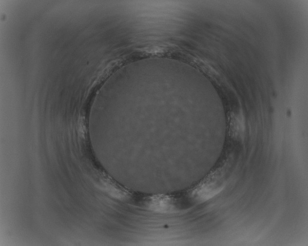 X0000070860612200606231254