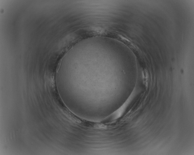 X0000070860613200606231254