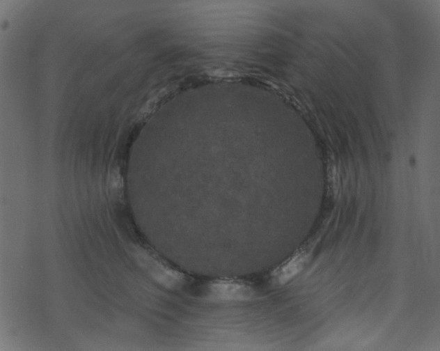 X0000070860614200606231254