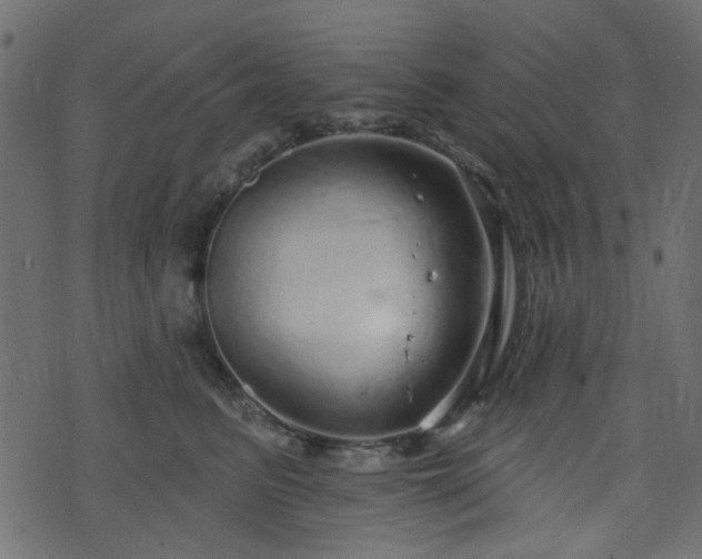 X0000070860615200606231254